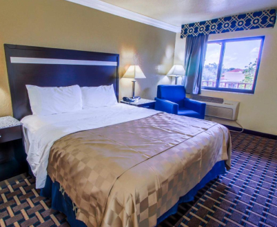 Spacious Rooms Perfect for Business Travelers